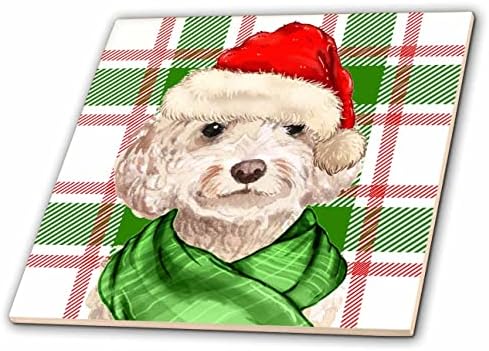 Cão de Natal Cockapoo de Champanhe 3drose com xadrez de férias vermelha e verde - azulejos