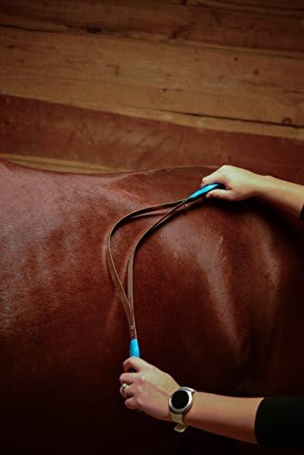 Wahl Professional Animal Equine Metal Horse Helding Shedding Blade, turquesa