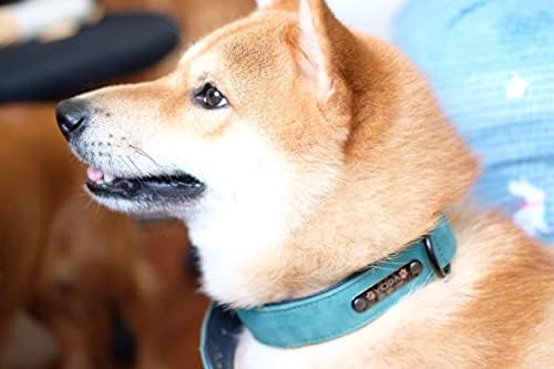 Oyasumi Handmande mais quente! Colarinhos de cachorro personalizados colarinho de couro personalizado tags de identificação