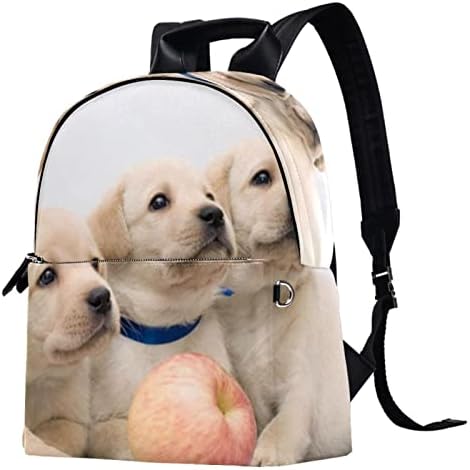 Tbouobt Leation Travel Mackpack Laptop Laptop Casual Mochila Para Mulheres Homens, Animal Adorável Labrador Completo