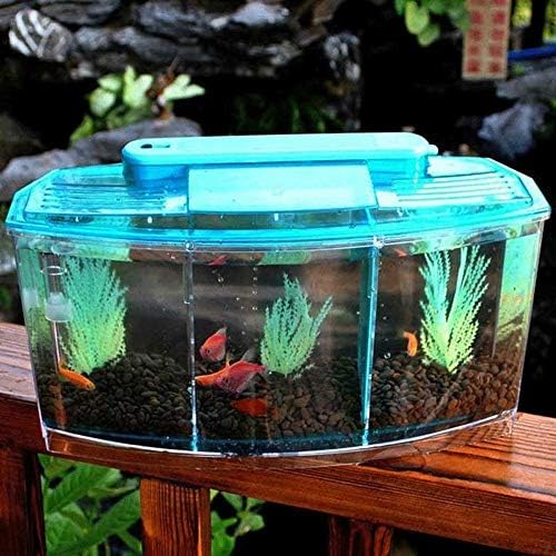 WSSBK Mini -peixe portátil Tanque de aquário Aquário Tanque de aquário LED Divisão de luz Filtro de água decoração de