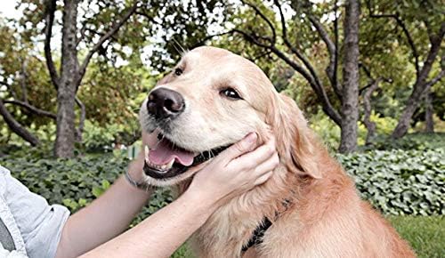Higiene bucal para cães Chews - Cuidados com dentes saudáveis ​​para cães - goma e dentes complexos - pare a placa acúmulo - dentes saudáveis ​​para cães - 1 garrafa