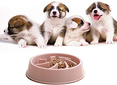 Proteção Ambiental Grado em Alimentos Plástico Anti-Slow Food Pet Dog Cat Bowl, Estilo: Droga de água Fáccil de USAR