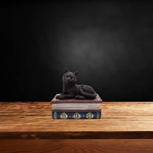 Gato preto em uma pilha de livros caixa decorativa, bugigina ou caixa de jóias, decoração gótica, 5,75 polegadas