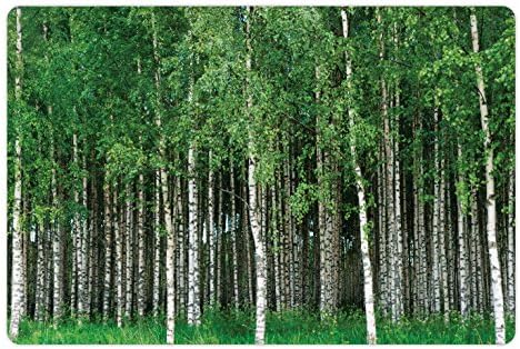 Tapete de animais de estimação da floresta lunarável para comida e água, paisagem sueca de verão com bétulas e troncos do