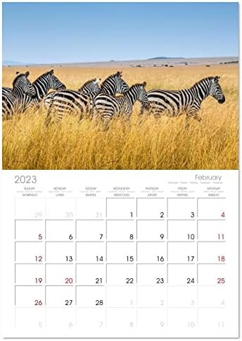 Quênia - O maravilhoso país da África. ), Calendário mensal Calvendo 2023