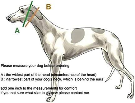 Gangue Sighthound Gang Extra Soft Martingale Dog Collar para Greyhound Saluki Whippet e outras raças com pescoço semelhante